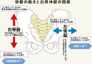 04：骨盤から自律神経を調整！あなた自身の治す力を高めます。