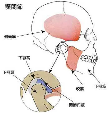 顎関節症の原因